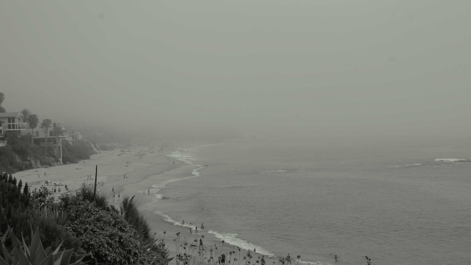 A misty coastline in soft light